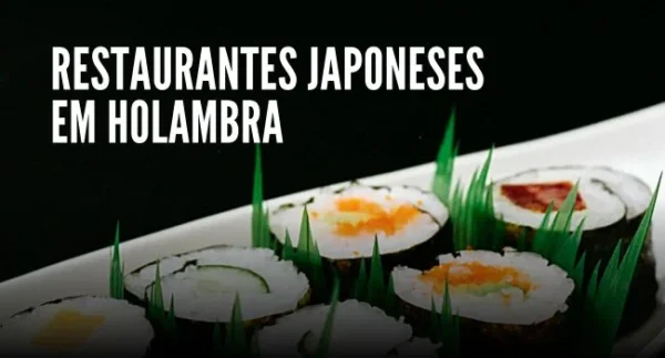 RESTAURANTES JAPONESES EM HOLAMBRA, RESTAURANTES JAPONESES, COMIDA JAPONESA, MELHORES RESTAURANTES